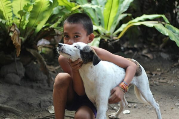 Boy with dog